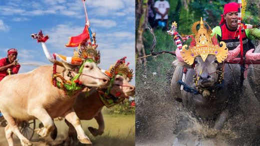 Makepung Lampit vs Makepung Darat